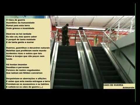 "Cão Diesel" Cia. Ope. Cães PMPR