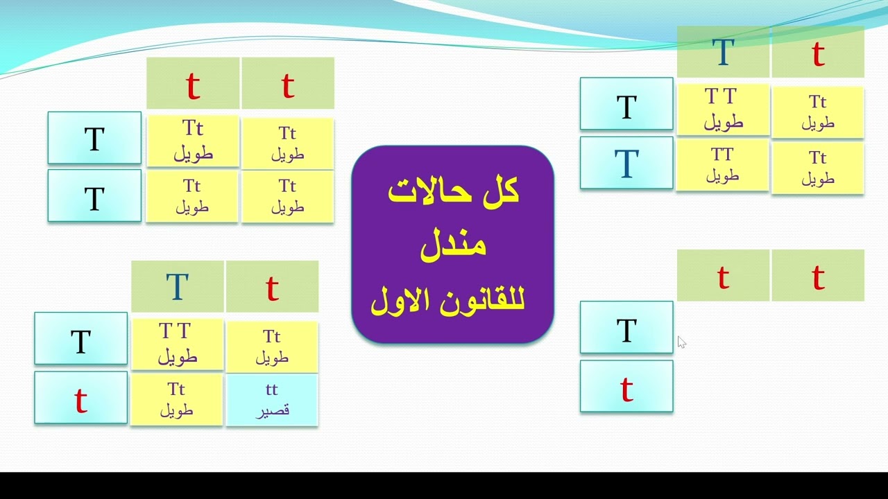 الوراثة المندلية