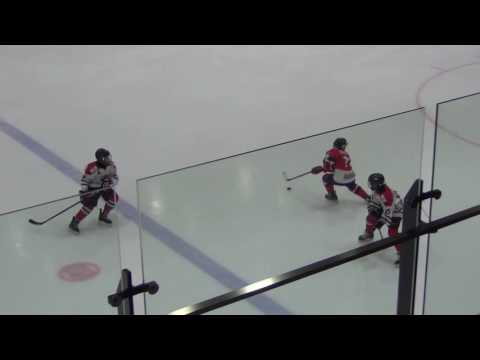 HC Vipers 03/04 - HC Panter 03/04  5-2 (0-0; 4-1; 1-1)  09.11.2016