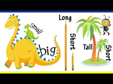 Tall and Short for Kids | Learn Opposites with Fun