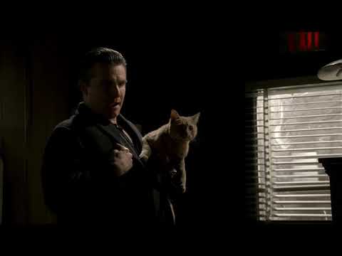 Spoiler! Nem minden a pénz  -  Maffiózók