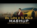 Dil Laya Dimaag Laya x Ta Malo Mashup | DJ Wild | Sunny, Anam & Aadil, Stebin B,Sunny Inder | 2k20