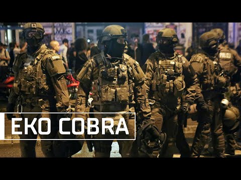 EKO Cobra || Einsatzkommando Cobra