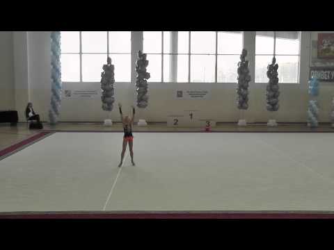 АСК 24-26.01.2014 Ласточкина Виктория 2002 обруч