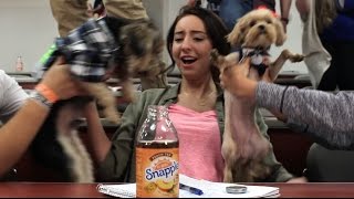 Snapple Snap Out Of It - AAF-UNI 2016 NSAC