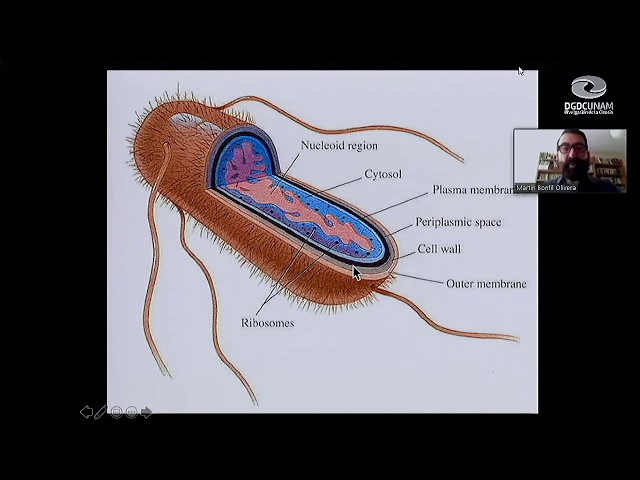 Para conocer la Célula