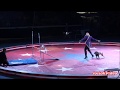 Dogs Show Circus