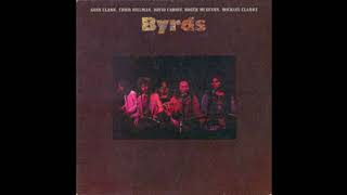 The Byrds. See the sky about to rain.
