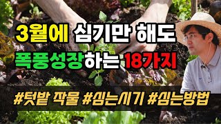 3월에 심는작물 4월에 심는 채소 초보자도 가능한 텃밭 주말농장 밭작물