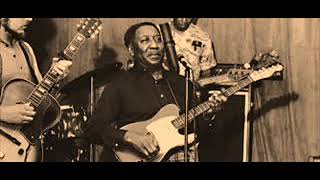 Muddy Waters-Walking Blues (Live)