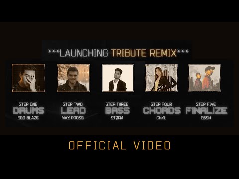 K-391, Alan Walker & Ahrix - End Of Time (Tribute Remix) Video