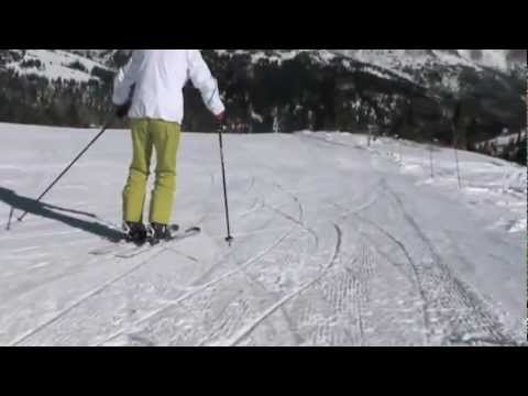 Harald Harb,  "How to Ski" Series 1, Lesson 2, Beginning Direct Parallel.