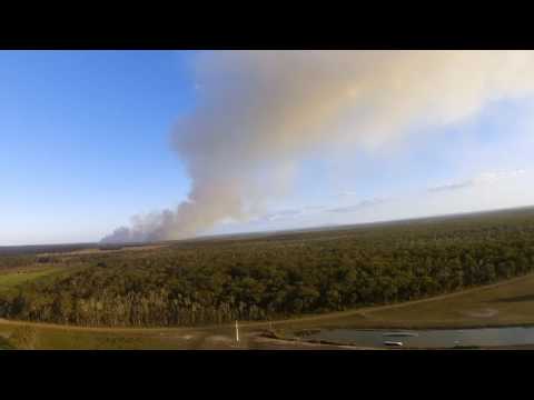 First attempt at a loop and Immelmann