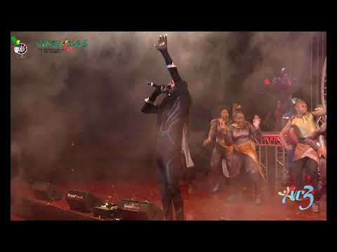 VINCY MAS SOCA MONARCH 2018 SKINNY FABULOUS SOCA DEFENDERS