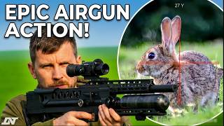 Silent Stalker: Rabbit Hunting with the Epic ONE Air Rifle & DNT ZULUS!