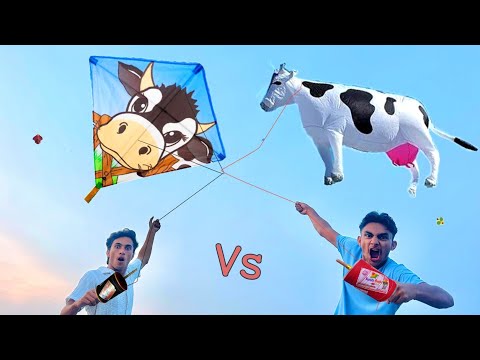 New Unique Cow Kite Catch Abubaker Roof | Cow Kite