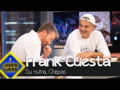 La sorprendente historia de Frank Cuesta con Chispas, su nutria - El Hormiguero