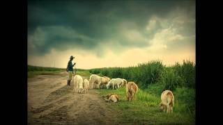 Dan   Fogelberg   Wandering Shepherd