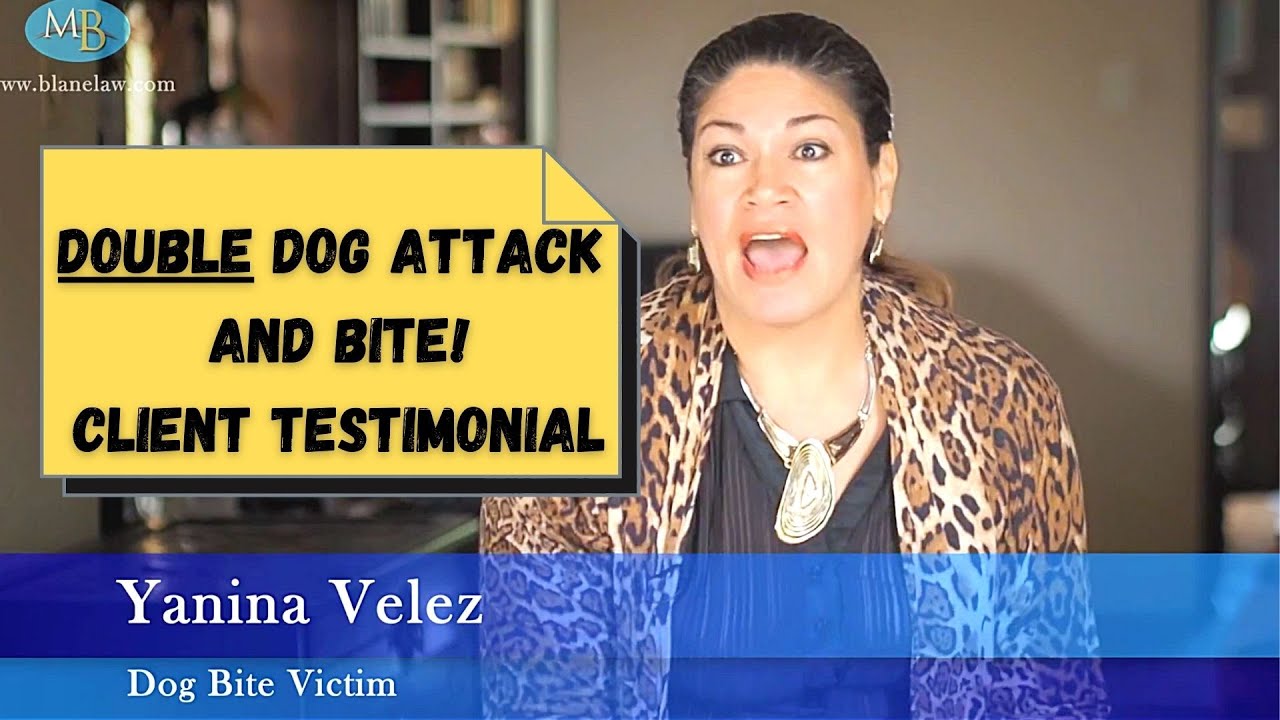 San Diego Negligent Landlord Dog Bite & Attack Attorney The Law