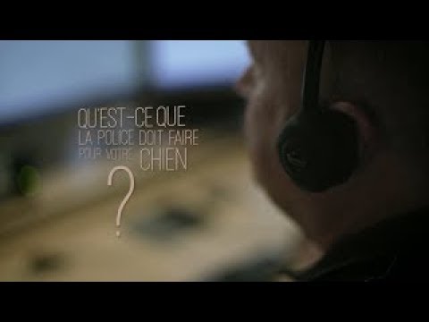 Appel D'urgence saison 2 épisode 5