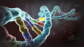 Nature or Nurture - Are People Born Gay?