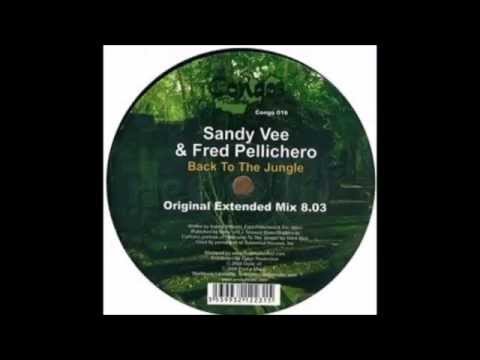 Sandy Vee & Fred Pellichero - Back to the jungle (2008)
