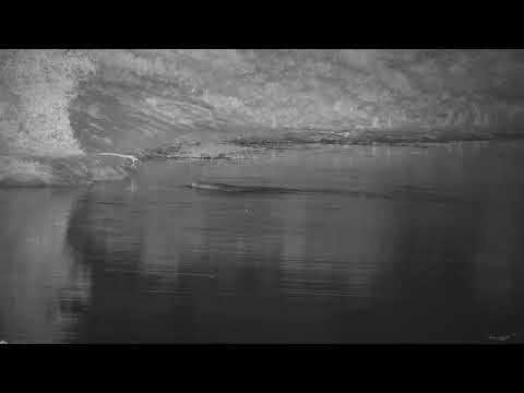 Djuma: Hippo returning to dam - 21:09 - 05/06/21