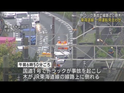YouTube Video 東海道線の線路上に倒木で一時運転見合わせ　国道1号の交通事故の影響　静岡市