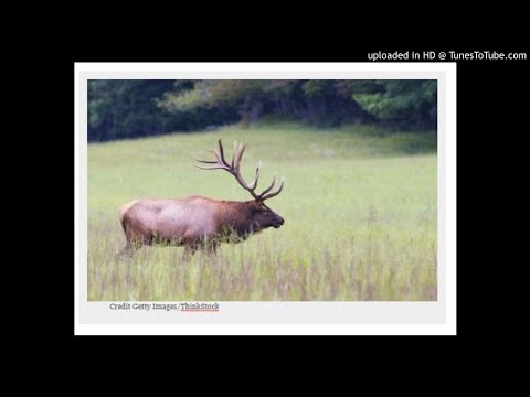 Dr Clayton Marlow on Montana Talks