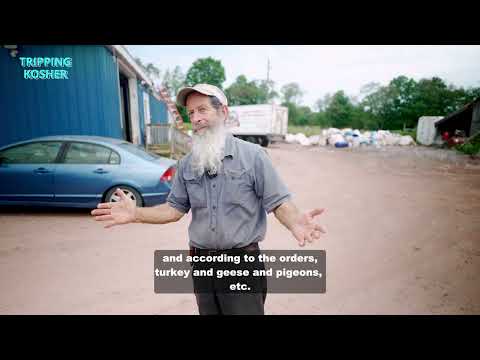 Tripping Kosher: Franklin Farms - New York