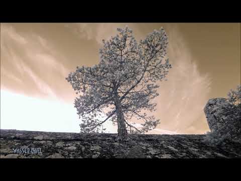 Trippy Dub 287 (Tomokari & Beolost - Wasteland)