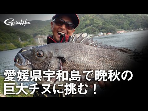 【G WORLD】#2 愛媛県宇和島で晩秋の巨大チヌに挑む！