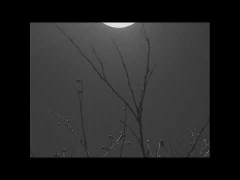 goldbranch - Saturdays 04 놓아버린 손 (Unholded Hand) D minor