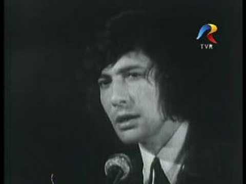 Florian Pittis - Blowing in the wind ( Vanare de vant)