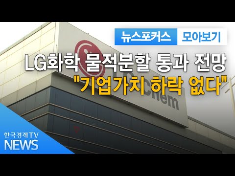 LG화학 물적분할 통과 전망..."기업가치 하락 없다" / 한국경제TV