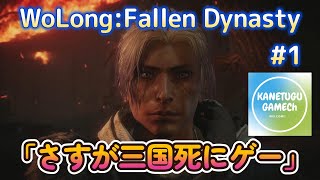 WoLong:Fallen Dynasty[PS5]「さすが三国死にゲー」