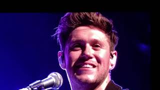 So Long - Niall Horan live in Chile  (Flicker World Tour)