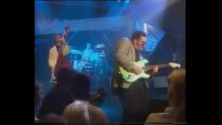 Duke Robillard   Blues for T Bone