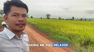 30/08/2025 Come here and get fresh air from this beautiful rice field.