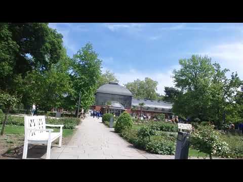 Palmengarten, um Mal 2019(1)