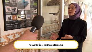 FEN FAKULTESI  BIYOLOJI BOLUMU