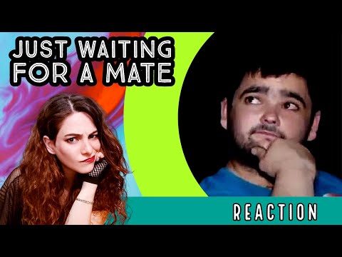 American Reacts - Just Waiting For a Mate