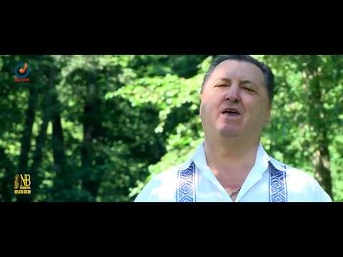 NELUTA BUCUR - Musafir la mine acasa (ALBUM PETRECERE 2018)