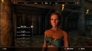 Skyrim PS4 Mod: PS4 Bikini Armor