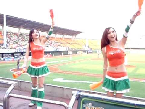 Taiwan Baseball Cheering