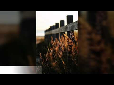 Alexandra Iuga - Când te voi uita (Gheorghe Dima)