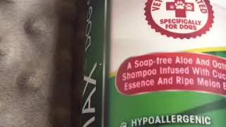K9 Pro Oatmeal And Aloe Vera two in one shampoo review
