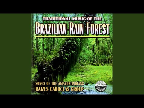 Songs from the Rain Forest