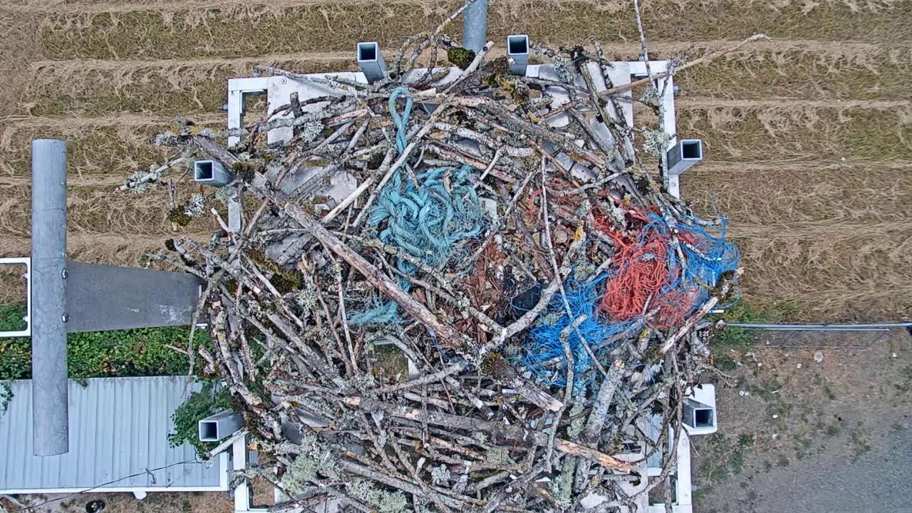 Live webcam view of Salem Electric Osprey Nest Cam