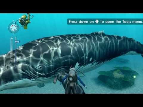 Let's Play Endless Ocean: Blue World, Episode 1: The Blue Tang Secret